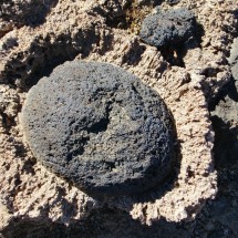 Magma stone embedded in salt corals